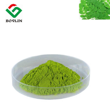 moringa-extract-powder.jpg
