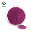 Purple Sweet Potato Powder for Sale