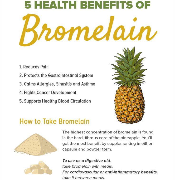 Your Reliable Pineapple Enzyme Bromelain Supplier Bovlin