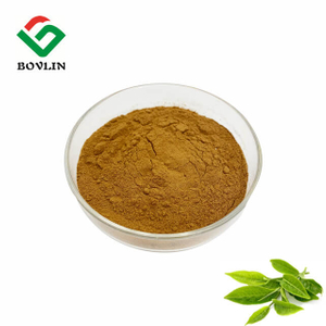 Catechin Powder