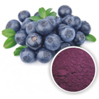 Blueberry Fruit Powder Price