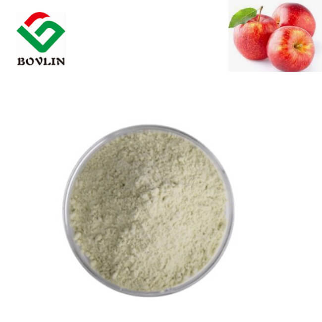 Apple Extract Apple Polyphenols