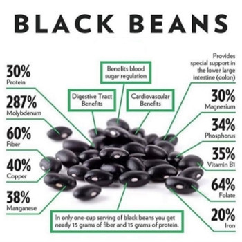 What Is Black Beans Peptide Powder?