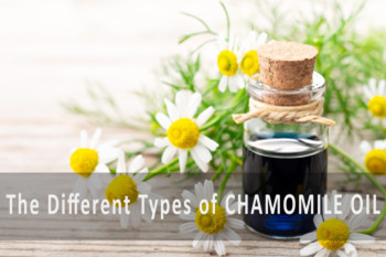 What Does Chamomile Oil Do For Skin?