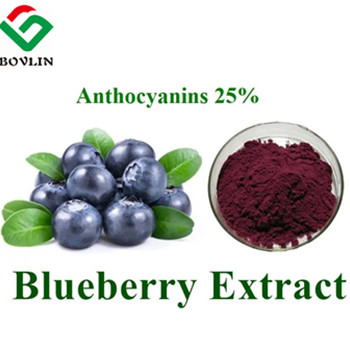 Blueberry Anthocyanins Supplements Bulk: Benefits,Tips and Side Effects