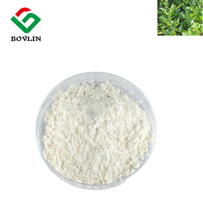 Dihydromyricetin Powder