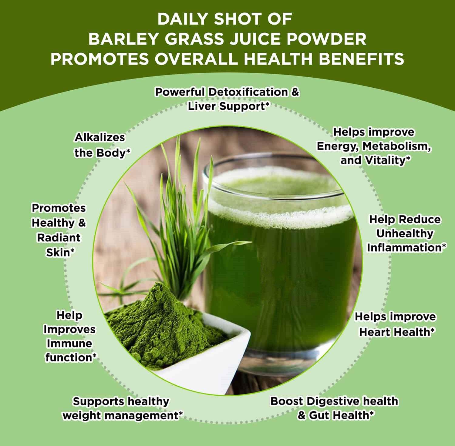 Where To Buy Barley Grass Powder ? Bovlin