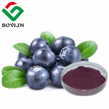 The Health Benefits of Blueberry Extract