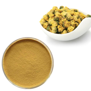 Best Quality Chrysanthemum Extract Powder For Sale