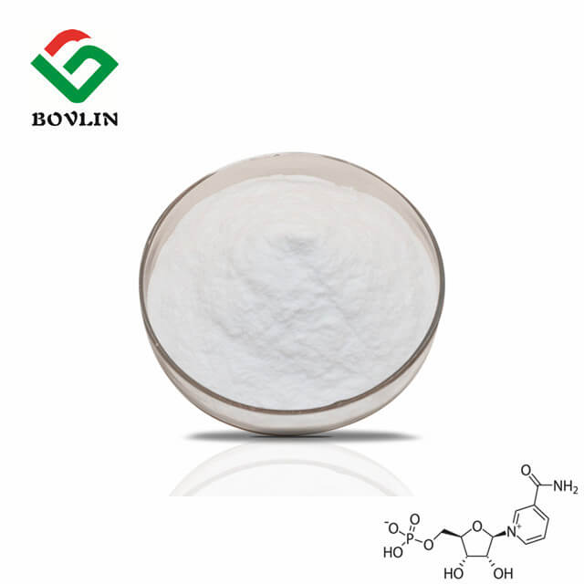 Nicotinamide Mononucleotide Powder