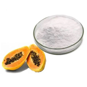 What Are All The Uses Of Best Papain In Papaya?
