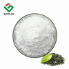 Green Tea Extract Epicatechin