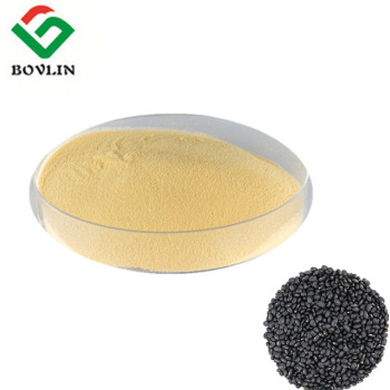 Black Beans Peptide Powder Supplement