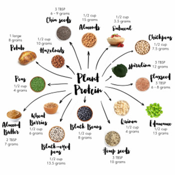 Application Of Plant Protein In Cosmetics