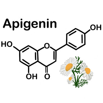What Does Apigenin Do In The Body?
