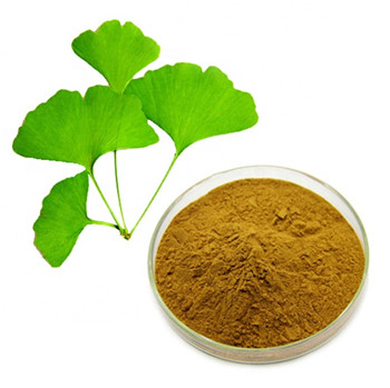 What Is Ginkgo Biloba Extract Powder Good For?
