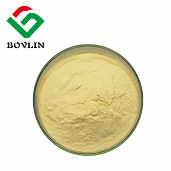 Do You Know Broccoli Extract Powder Bulk And Our Advantages As A Broccoli Extract Powder Supplier?